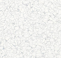 Кварцвиниловые полы Forbo Colorex EC Plus 621001 фото 1 | FLOORDEALER